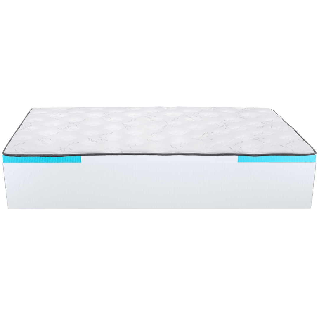 Bayside (Authorized Distributor)